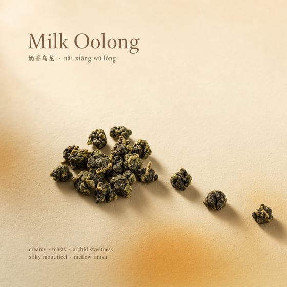 Nǎi Xiāng Oolong