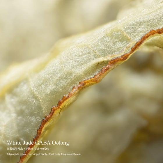 White Jade GABA Oolong