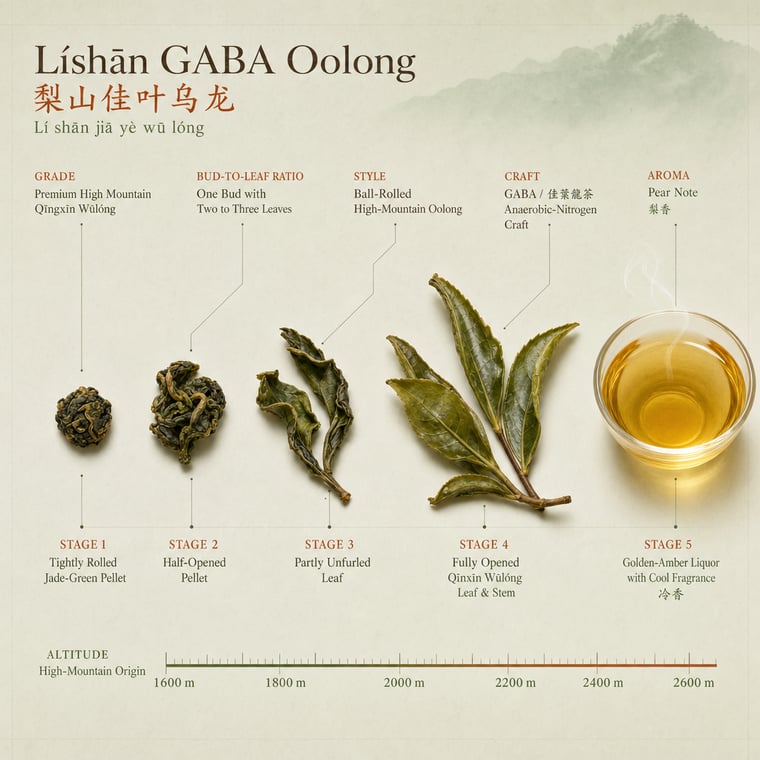 The design — Lishan GABA Oolong