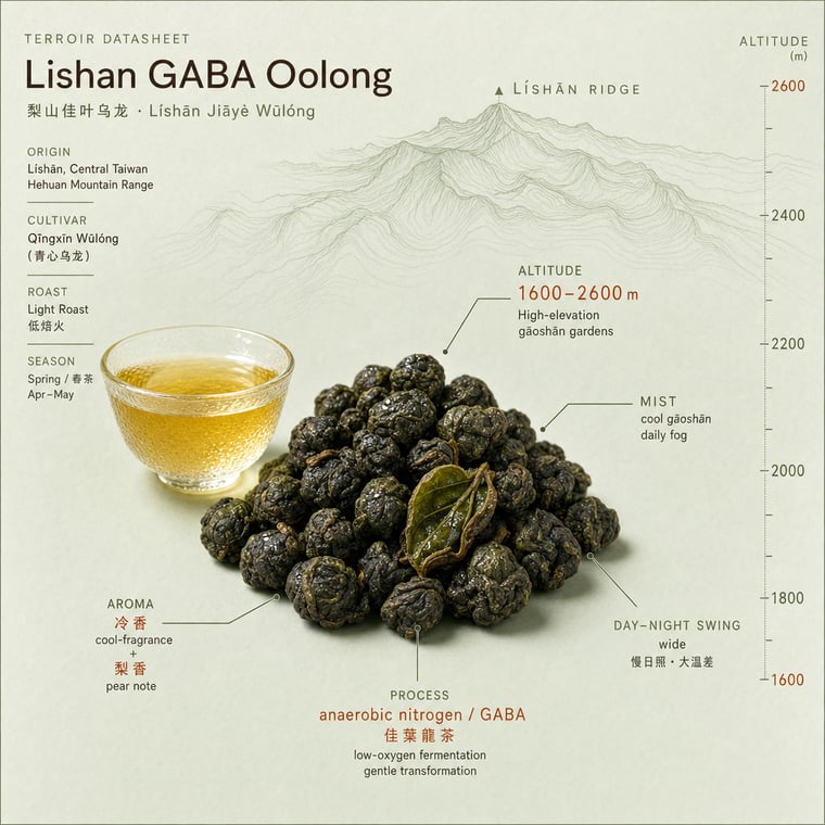 The design — Lishan GABA Oolong
