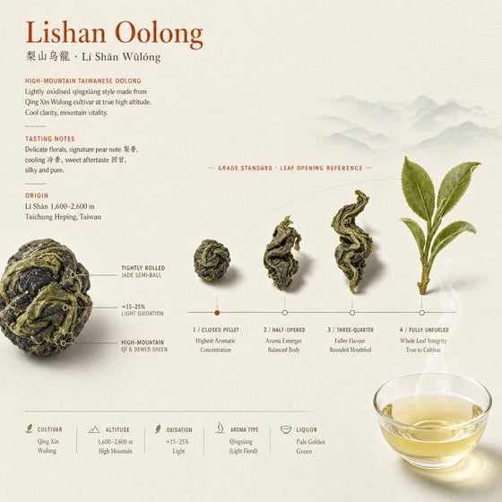 Líshān Oolong