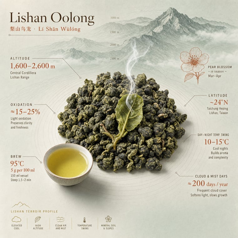 The design — Líshān Oolong