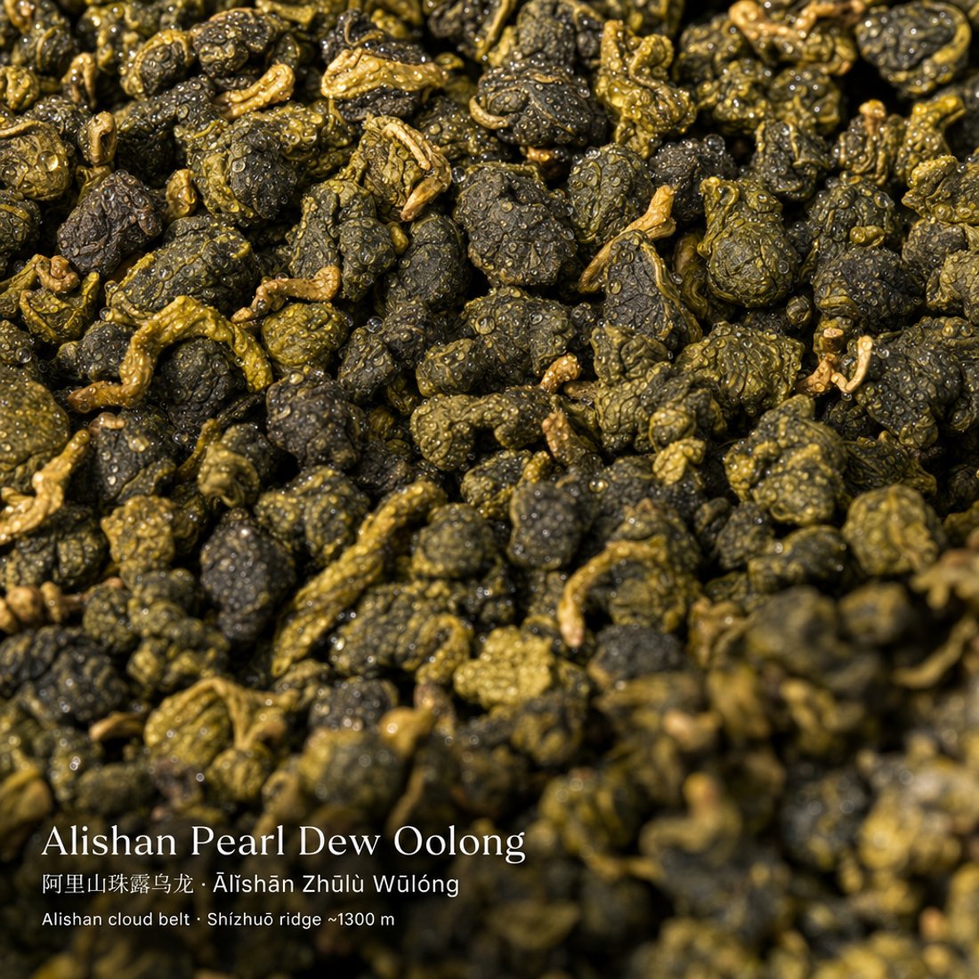 A teamotea tea photographed in a packaging-driven setting: the real loose tea filling the entire frame as a rich tactile texture field