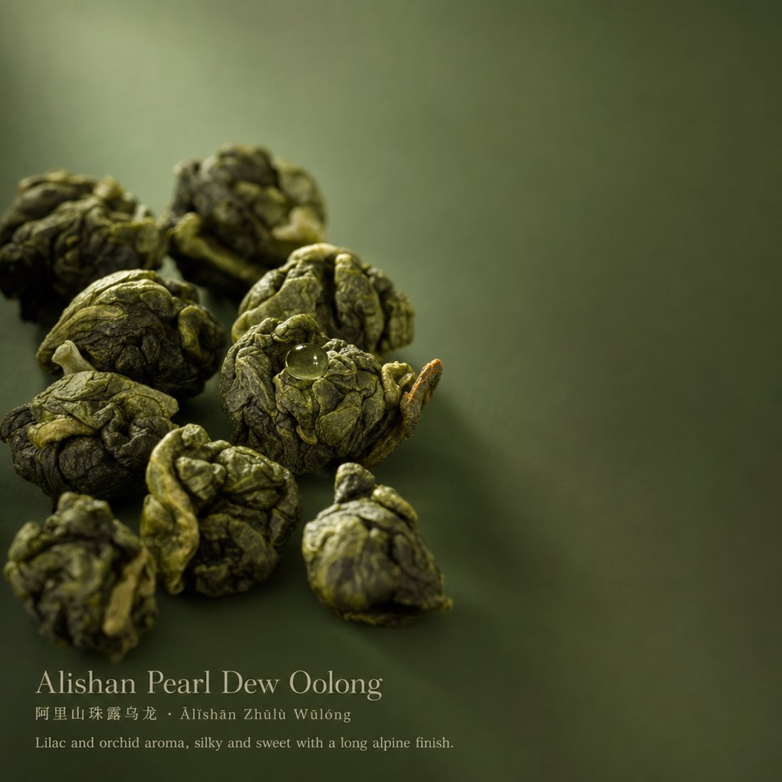 A teamotea tea photographed in a luxury-minimal setting: the real dry tea and the backdrop in the same hue family