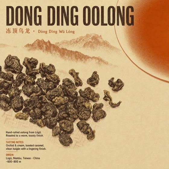 Dòng Dǐng Oolong