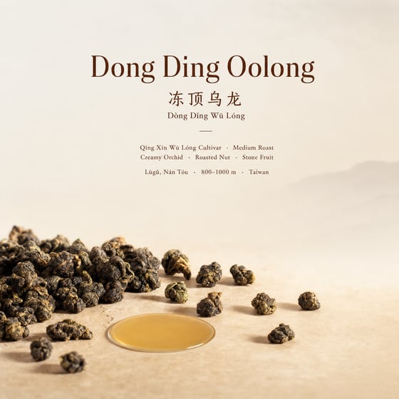 Dòng Dǐng Oolong