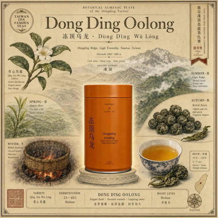 The design — Dòng Dǐng Oolong