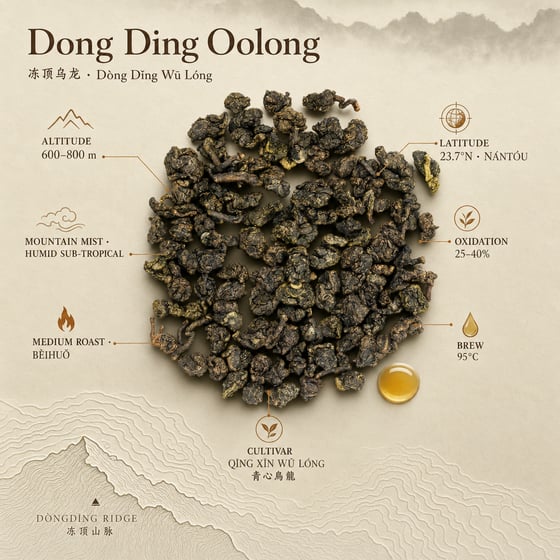 Dòng Dǐng Oolong