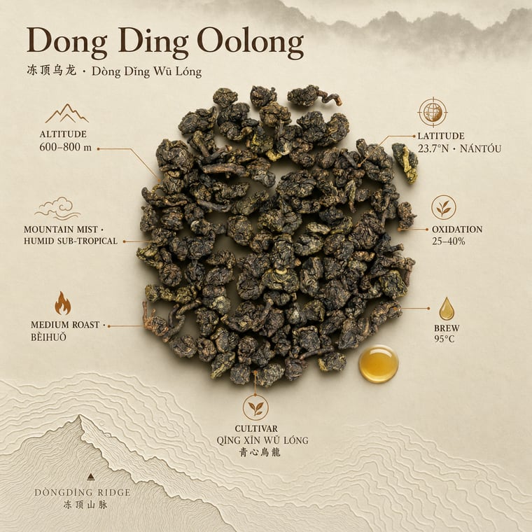 The design — Dòng Dǐng Oolong