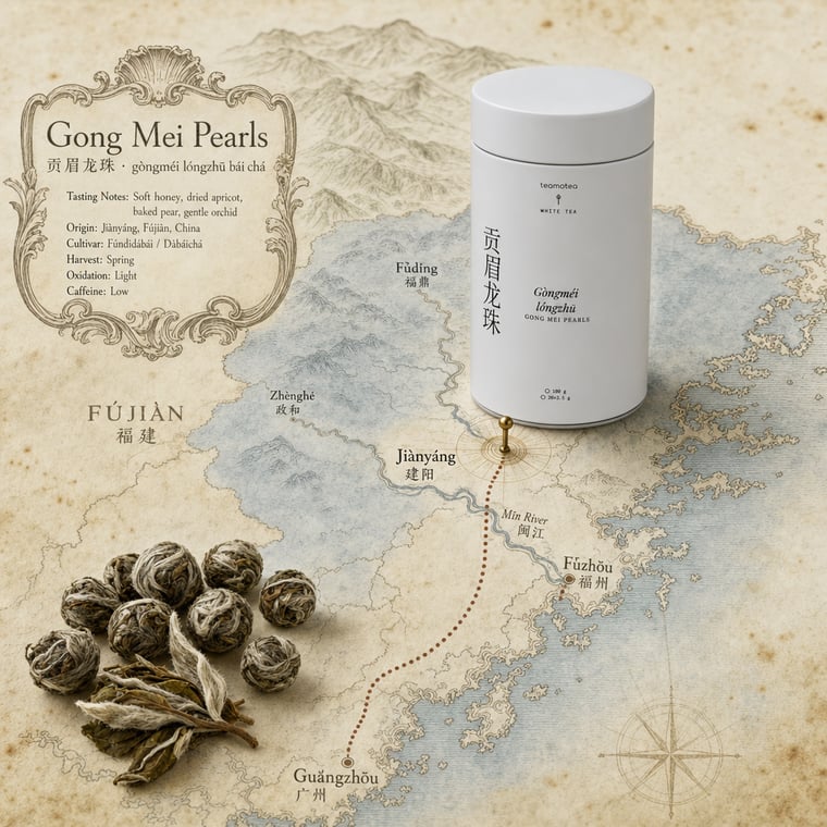 The design — Gòng Méi