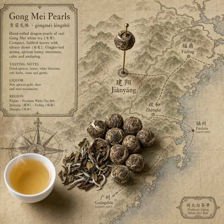 The design — Gòng Méi