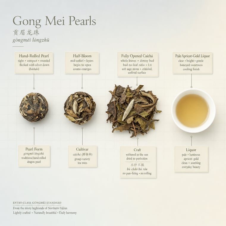 The design — Gòng Méi