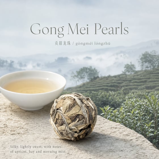 Gòng Méi
