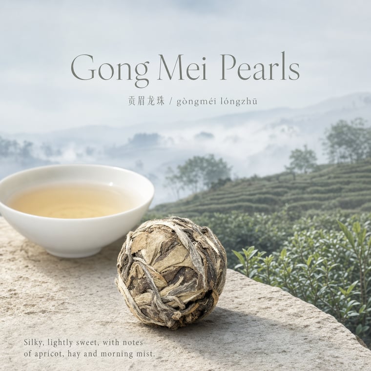 The design — Gòng Méi