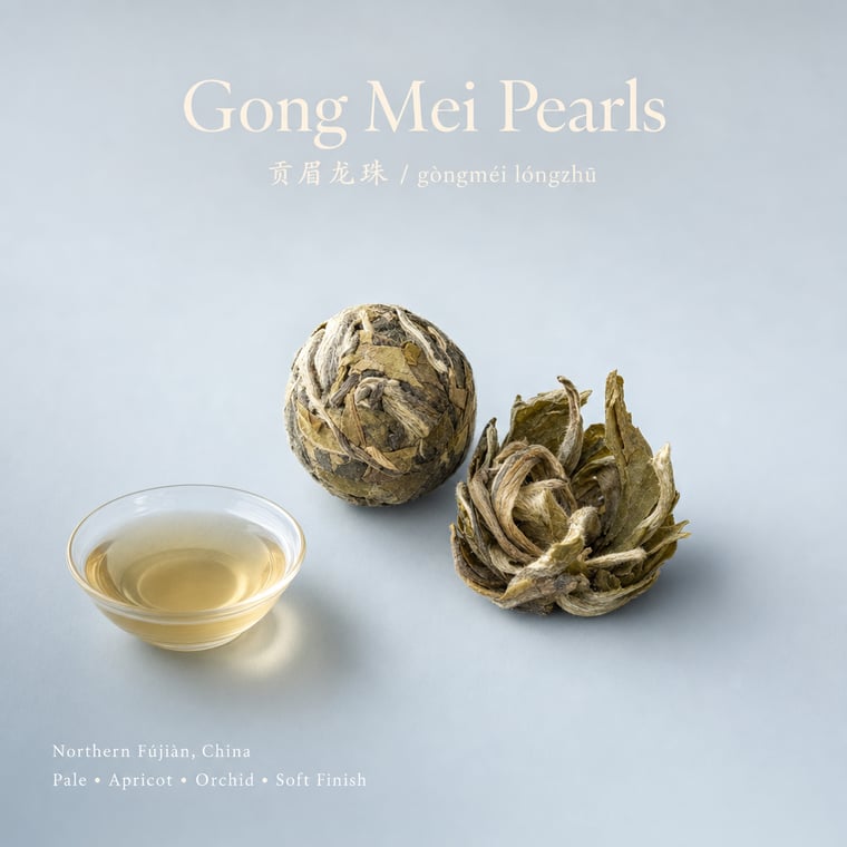The design — Gòng Méi