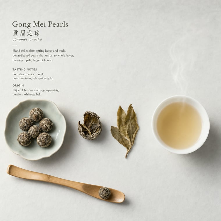 The design — Gòng Méi
