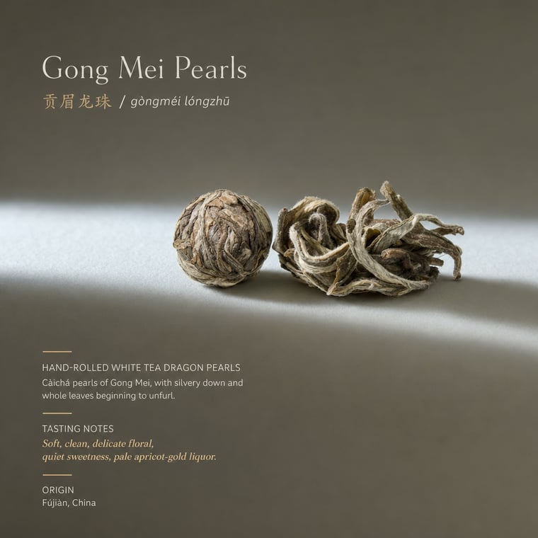 The design — Gòng Méi