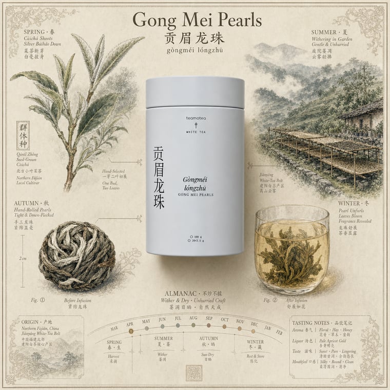 The design — Gòng Méi