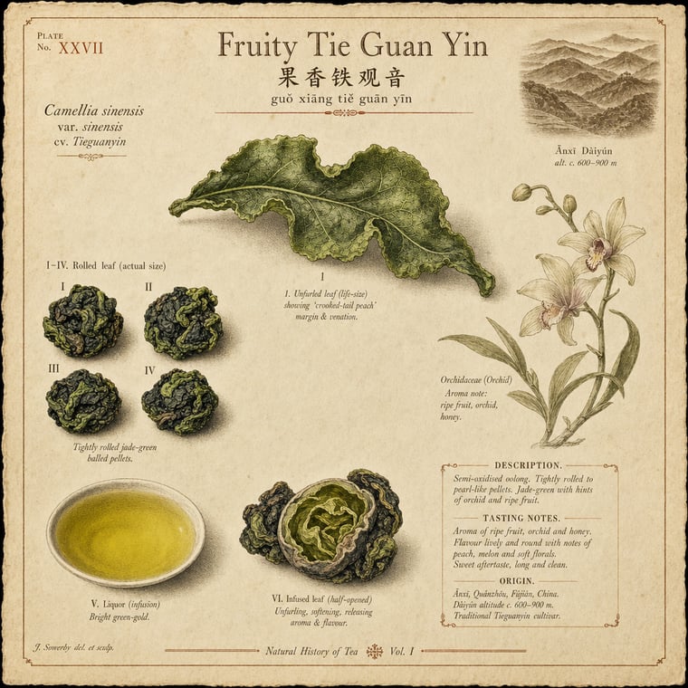 The design — Fruity Tie Guan Yin