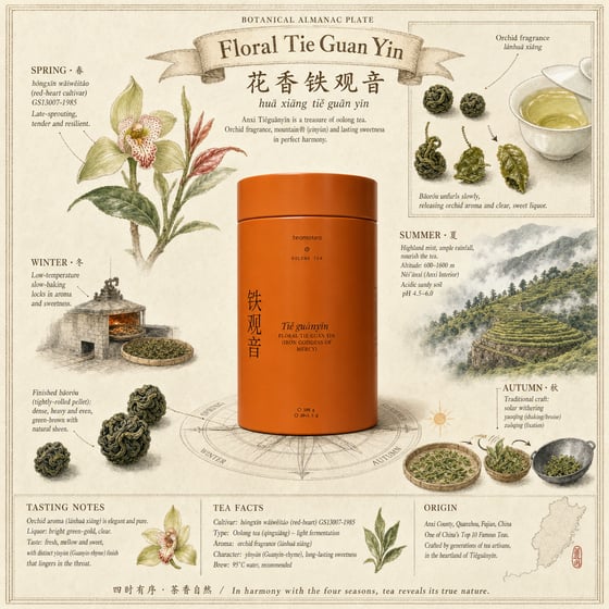 Floral Tie Guan Yin