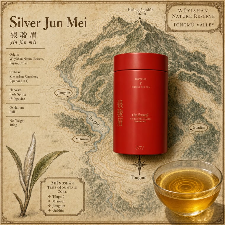 The design — Yín Jùn Méi