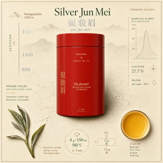 Yín Jùn Méi