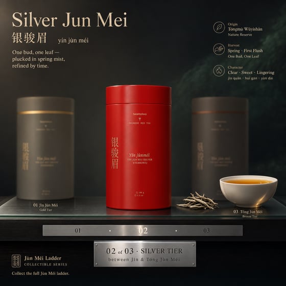 Yín Jùn Méi