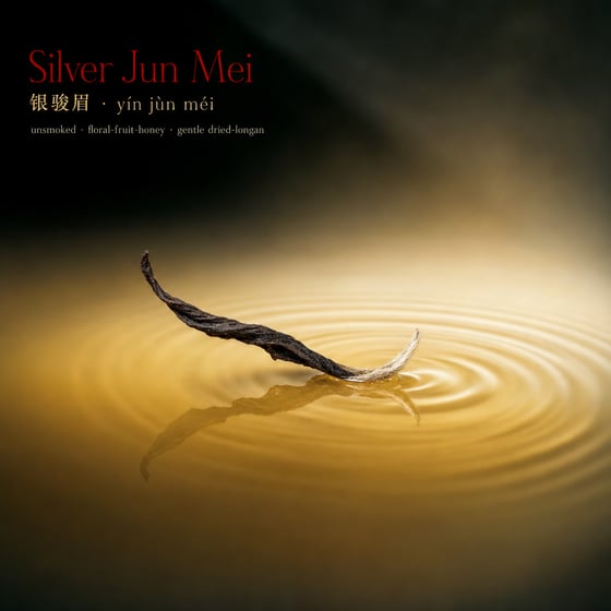 Yín Jùn Méi