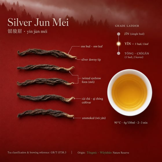 Yín Jùn Méi