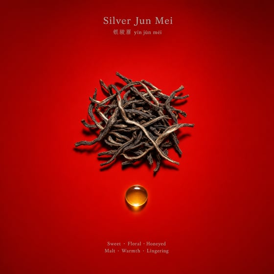Yín Jùn Méi