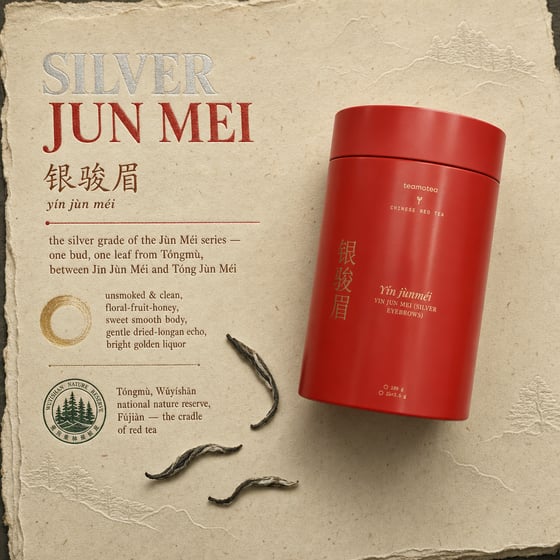 Yín Jùn Méi