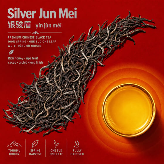 Yín Jùn Méi