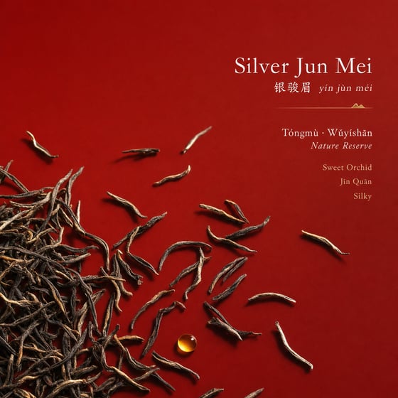 Yín Jùn Méi