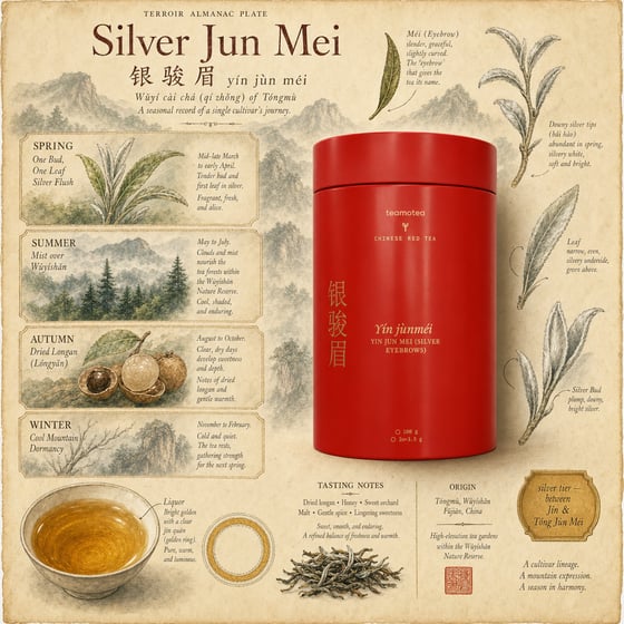 Yín Jùn Méi