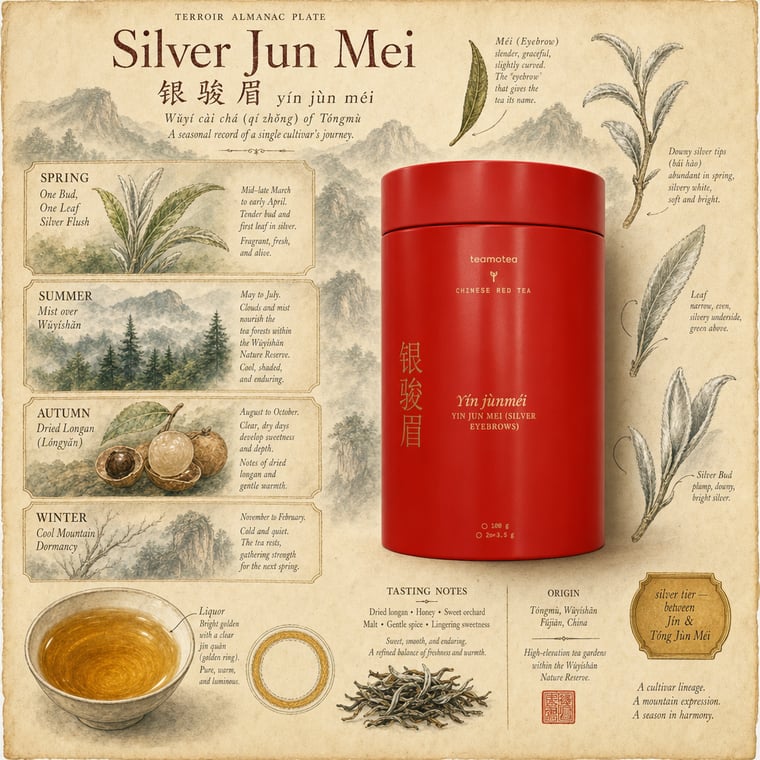 The design — Yín Jùn Méi
