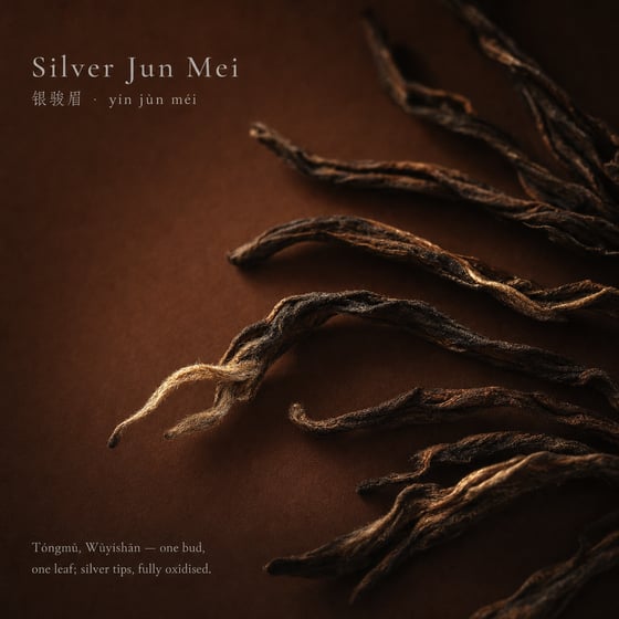 Yín Jùn Méi