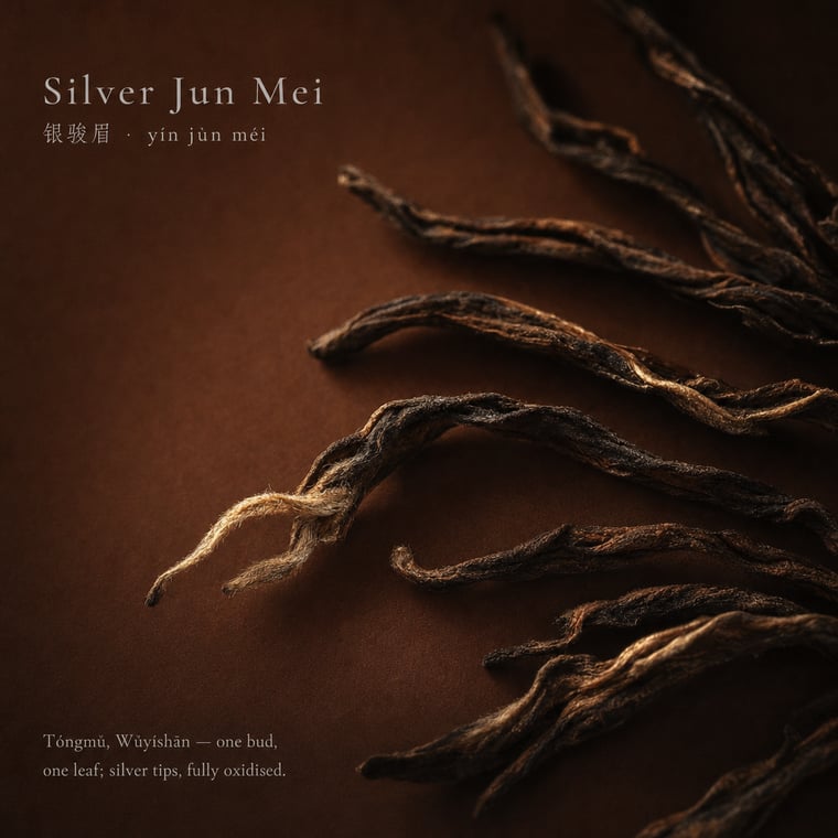 The design — Yín Jùn Méi