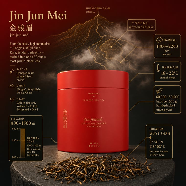 The design — Jīn Jùn Méi