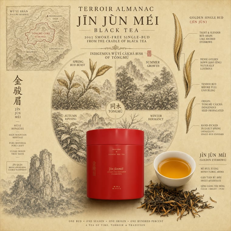 The design — Jīn Jùn Méi