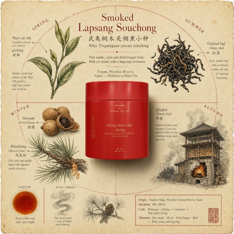 The design — Zhèngshān Xiǎozhǒng