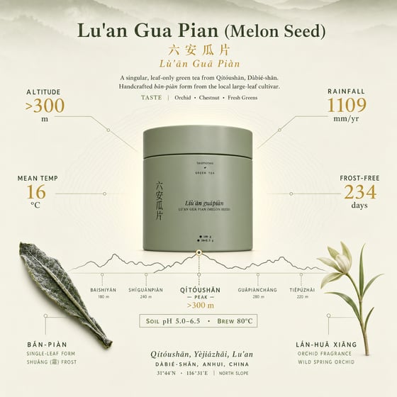 Liú Ān Guà Piān
