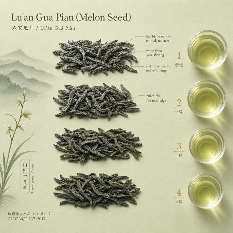 The design — Liú Ān Guà Piān