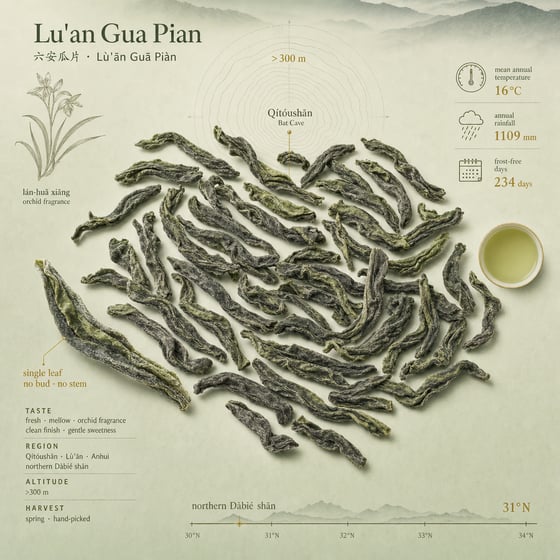 Liú Ān Guà Piān