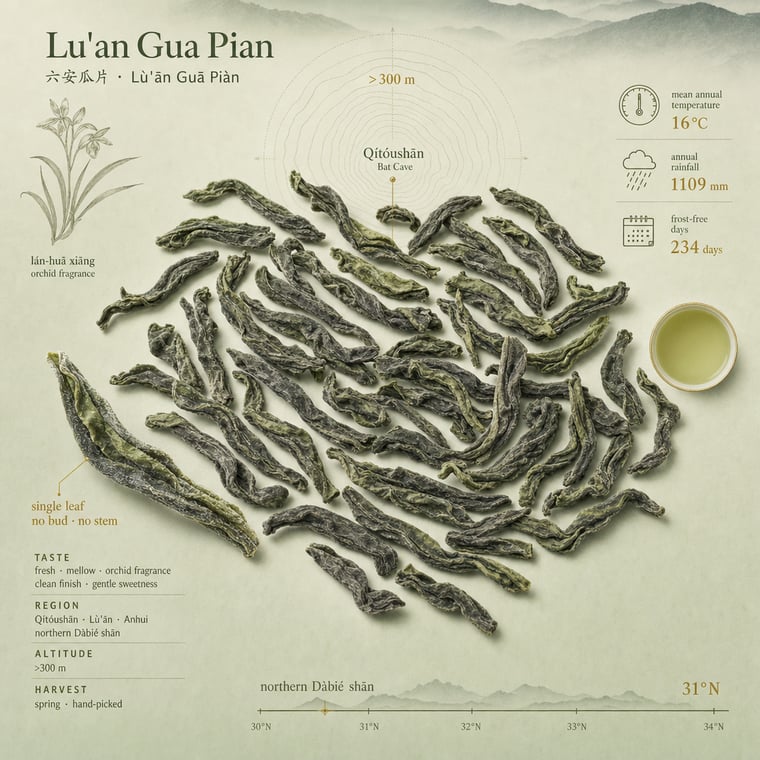Green tea
