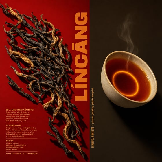 Diān Hóng Yě Shēng