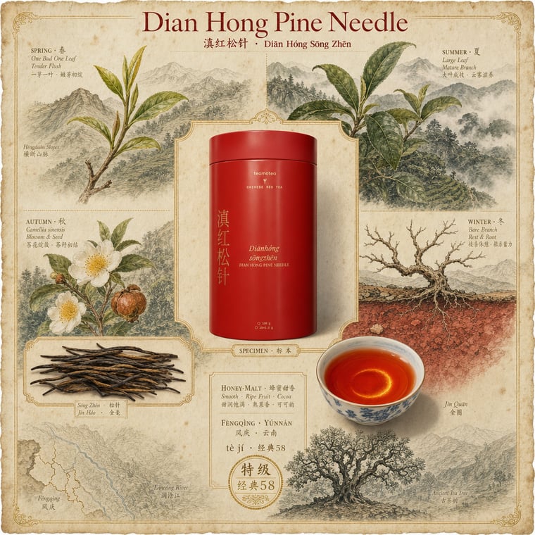 The design — Diān Hóng Sòng Zhèn