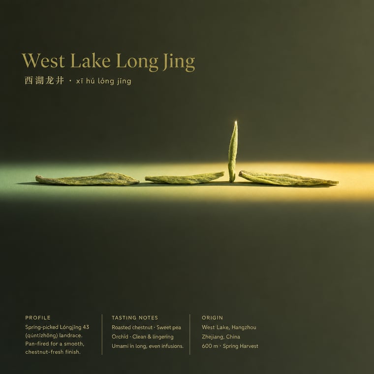 The design — Xī Hú Lóngjǐng