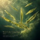 Underwater Caustics tea