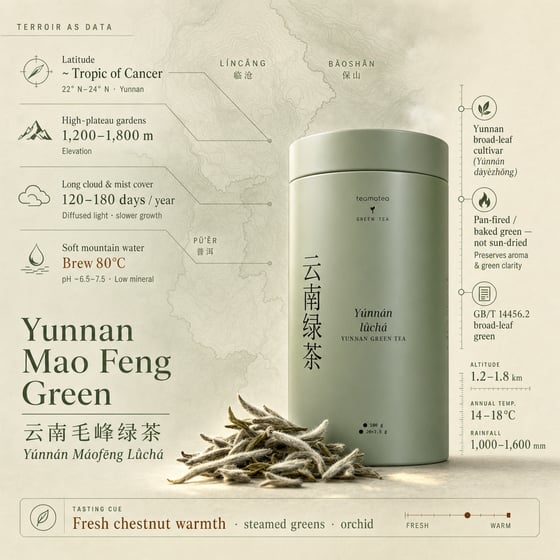 Yunnan Mao Feng Green Tea