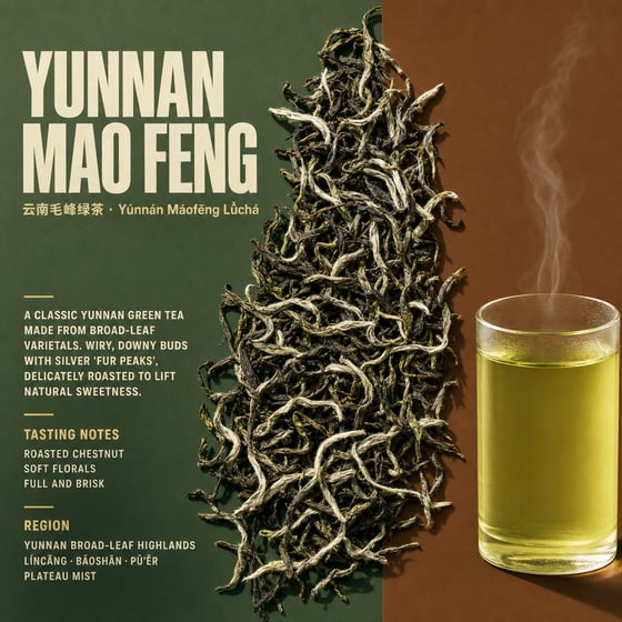 Yunnan Mao Feng Green Tea
